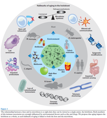學術沙龍聚焦益生菌研究新進展，完美生科院探索生物產品研發新思路